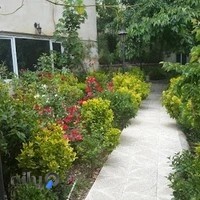 کافه خوشنویسی نیما