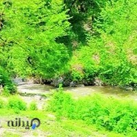 کافی نت خدمات چاپ و حسابداری ناوک