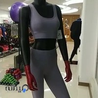 دنیای ورزش احمدی