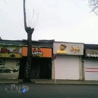 کیف و کفش بلوط