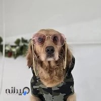 پانسیون زری دوست