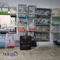 پرنده سرای عروس