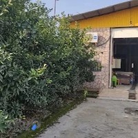 قالی شویی مکانیزه پارسا