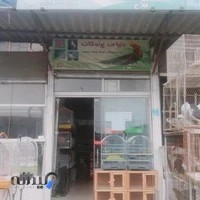 پرنده فروشی دنیای پرندگان
