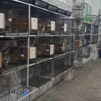 پرنده سرای سینا