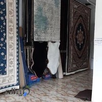 فروشگاه فرش فلاح
