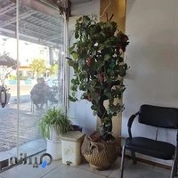 تهیه غذای عمو فخار