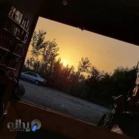 اتوسرویس علی روغنی