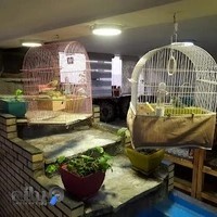 کافه سنتی رها