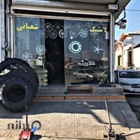 لاستیک فروشی شعبانی