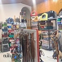 بیمارستان دامپزشکی دکتر نعیمی