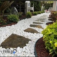 سنگ قلوه‌ای سفید - سعدانی