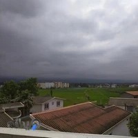 پارک جنگلی لوزان