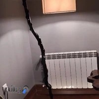 الکتریکی یوسفی