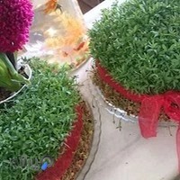 فروشگاه فرش و موکت عسکری