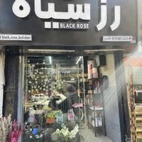گل رز سیاه