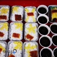 غذای خانگی نون ونمک