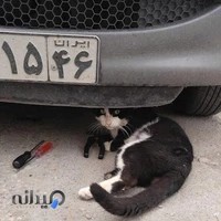 دزدگیر صنیعی