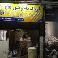 خوراک دام وطیورفلاح