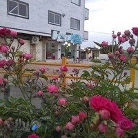 بستنی حاج قاسم.