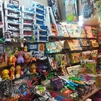 Toys_sari