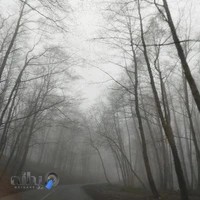 فروشگاه موبایل پینگ | تعمیرات و نرم افزار