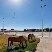 باشگاه سوارکاری ای وان