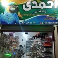 پرنده و دان و لوازم جانبی پرطلایی