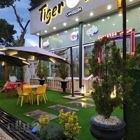 تایگرفست فود