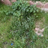 شهربازی شهرجدیدمِهِستان