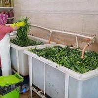 ترشیجات و سبزیجات گلدار