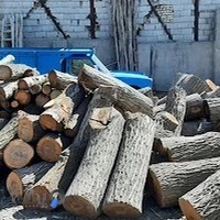 چوب فروشی و چوب بری محمدی - فروش انواع چوب روسی و ایرانی