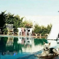 فروشگاه کشاورزی بهار شعبه 1