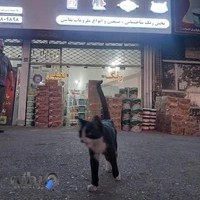 پخش رنگ فضلی رنگ ساختمانی وصنعتی