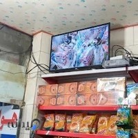 دوربین مداربسته و دزدگیر اماکن-لوکس اصغر