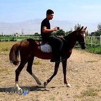 باشگاه سوارکاری هیرو