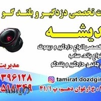 تعمیرات تخصصی دزدگیروبلندگو