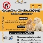 کافه حیوانات سانا