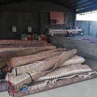 قالیشویی انزان