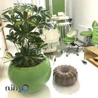 مطب دندانپزشکی دکتر سعیده قانعی متخصص درمان ریشه