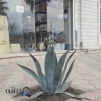 نمایندگی چرخ خیاطی اونق