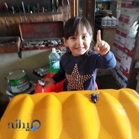 مکانیکی موسی