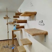 پانسیون گربه آنجلا