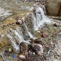 باغچه خانوادگی پیر چنار