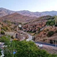 شله‌ های لی‌لیز