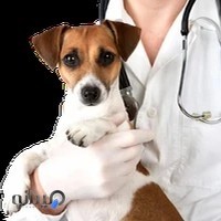 دامپزشکی دکترامیدعسگریان