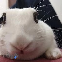 افزودن متعلاقت خودرو