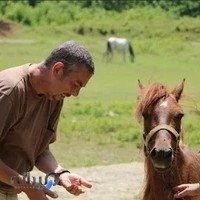 باشگاه سوار کاری سردار گیسوم