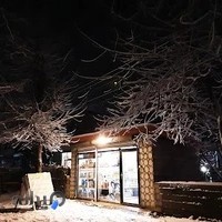 الکتریکی نوین