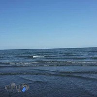 خدمات الکترونیکی رضا